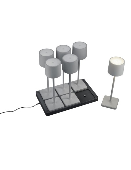 Fernandez grise de Trio x 6 + station de recharge