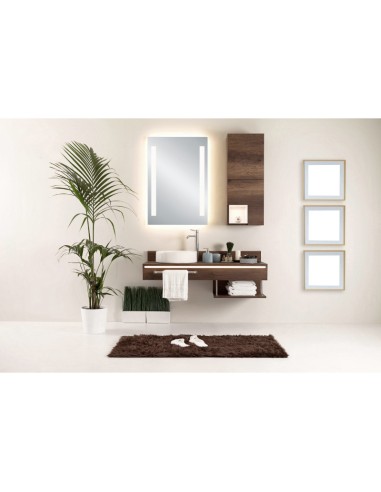 Mirrors and More - Lina - Miroir de salle de bain double éclairage - 2 températures de couleur