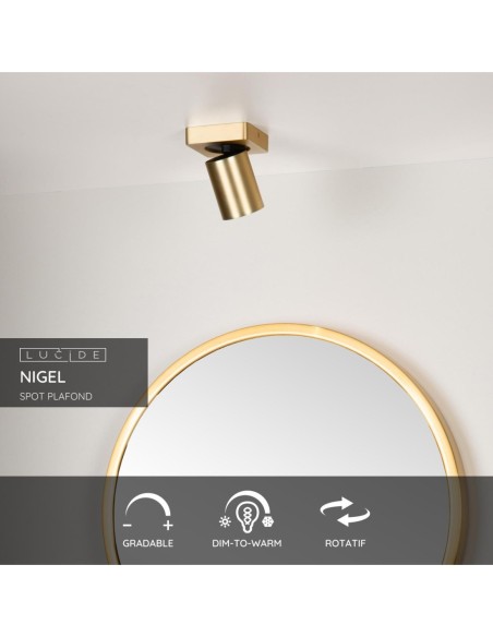 Lucide NIGEL Spot plafond LED Dim to warm GU10 1x5W 2200K/3000K Or Mat / Laiton | Deko Light
