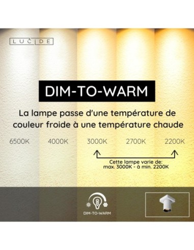 Lucide NIGEL Spot plafond LED Dim to warm GU10 1x5W 2200K/3000K Blanc | Deko Light