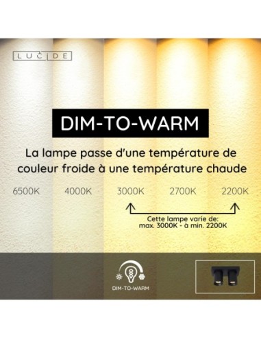 Lucide NIGEL Spot plafond LED Dim to warm GU10 2x5W 2200K/3000K Noir | Deko Light