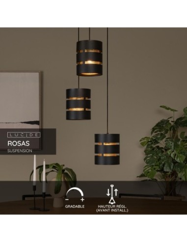 Suspension Led Diam. 43 cm 3xE27 40W  Noir  et Or mat - Lucide - Rosas