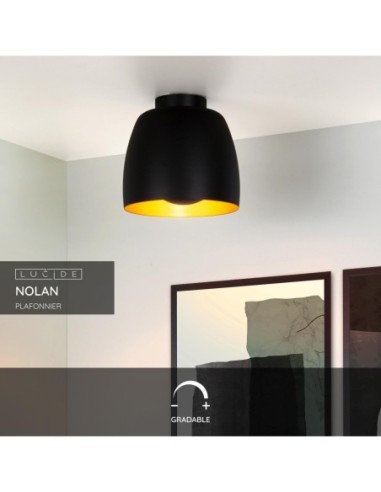 Plafonnier Led Diam. 24 cm 1xE27 60 W Noir / Or mat - Lucide - Nolan
