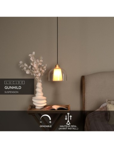 Suspension Diam. 24 cm 1xE27 60W Dimmable Transparent - Lucide - Gunhild