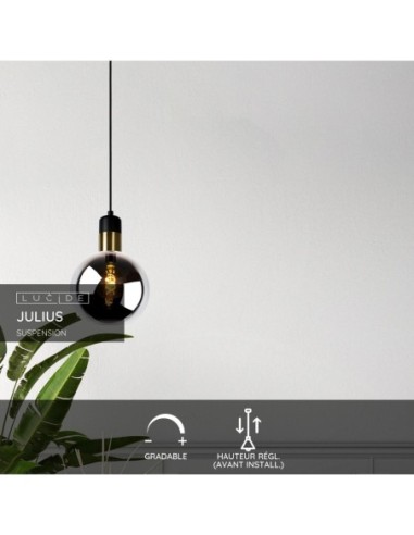 Suspension Diam. 20 cm 1xE27 40W Verre Fume/ Or mat - Lucide - Julius