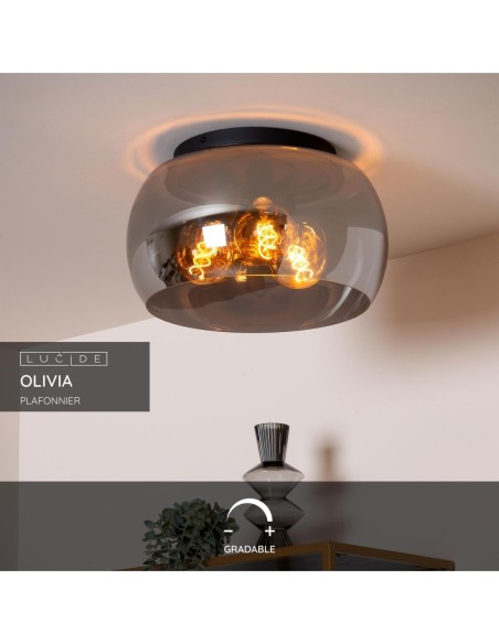 Plafonnier Diam. 40 cm 3xE27 40W Dimmable Fume et Noir - Lucide - Olivia