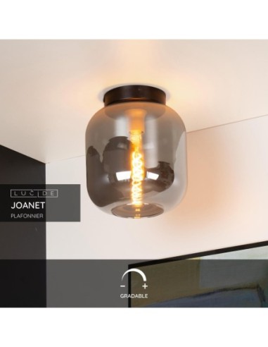 Lucide JOANET Plafonnier Diam. 25 cm 1xE27 Fume | Deko Light