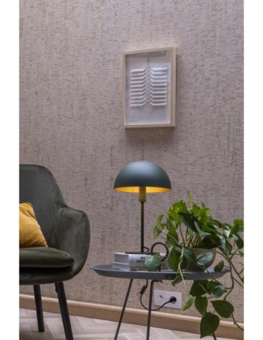 Lampe de table Diam. 25 cm 1xE14 25 W Vert - Lucide - Siemon