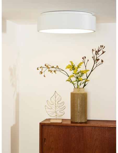 Plafonnier Diam. 45,5 cm LED Dim. 1x30W 3000K Blanc - Lucide - Talonne Led