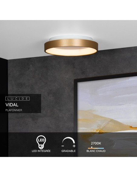 Plafonnier Diam. 28 cm LED Dim. 1x20W 2700K Or Mat - Lucide - Vidal