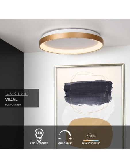 Plafonnier Diam. 48 cm LED Dim. 1x38W 2700K Or Mat / Laiton - Lucide - Vidal