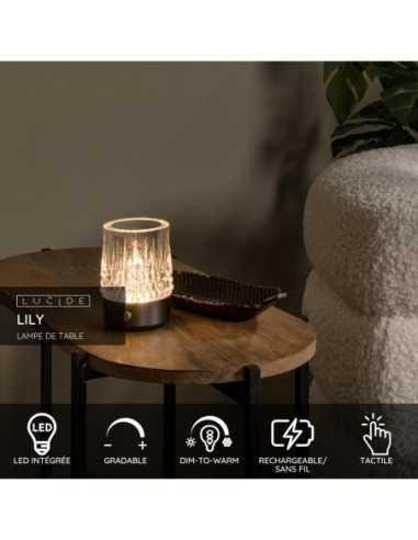 Lampes de table autonomes  anthracite - Lucide - Lily - fiche technique