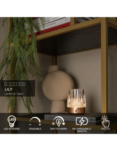 Lampe de table autonome  cuivré - Lucide - Lily - fiche technique