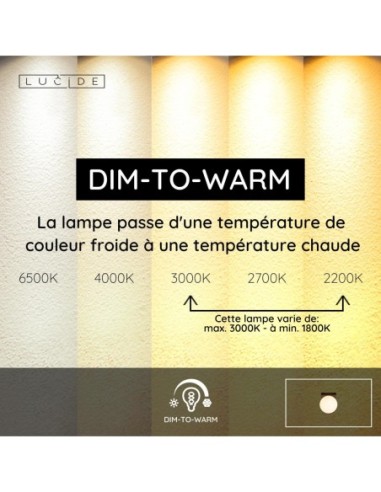 Plafonnier Salle de bains Diam. 13,5 cm LED  1x12W 1800K/3000K IP40 Noir - Lucide - Tassa