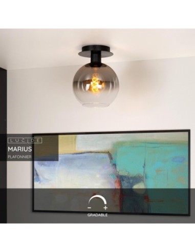 Plafonnier Diam. 20 cm 60 W 1xE27 Noir & Fumé Dimmable - Lucide - MARIUS
