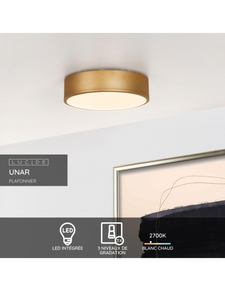 Plafonnier led intégrée - Unar - diamètre 20 cm /  Dimmable