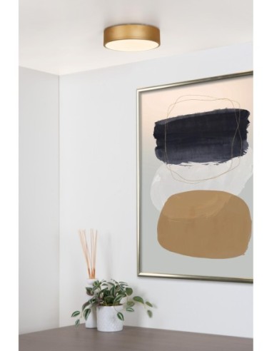 Plafonnier led intégrée Unar - Dimmable , IP20, design moderne et élégant