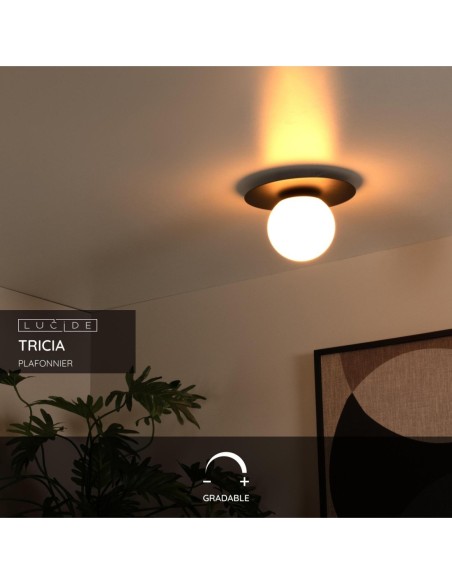 Plafonnier avec ampoule E27 non fournie, Tricia de lucide