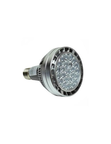 Ampoule Led  E27 PAR30 30 Watts - Optonica Leluminaireled.com