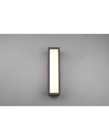Trio – Fuerte – Applique LED IP54, éclairage extérieur économe, 1300 lumens, finition anthracite