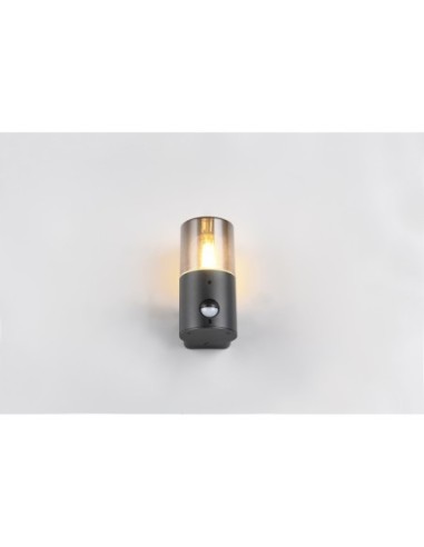 Applique extérieure Hoosic détecteur mouvement E27 IP44