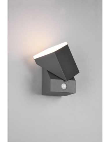 TRIO Avon – Applique extérieure intelligente avec veilleuse 10 %, aluminium moulé IP54