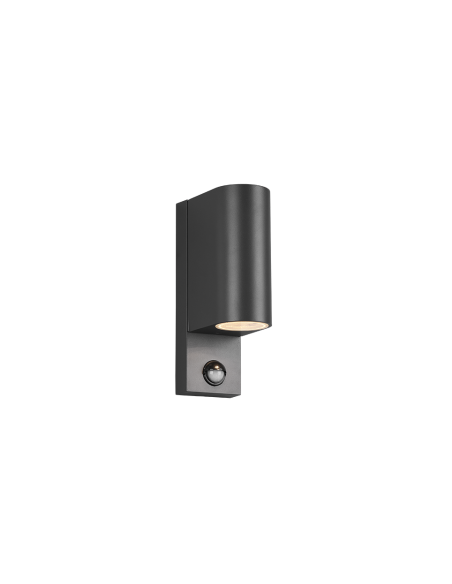 Applique extérieure Roya anthracite avec éclairage haut et bas up down