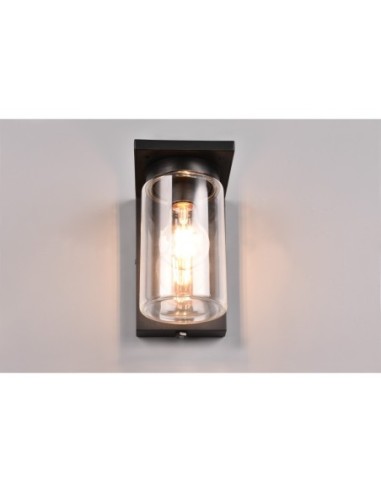 Applique murale extérieur IP44 1xE27 max 40W noire mat extérieur | Trio