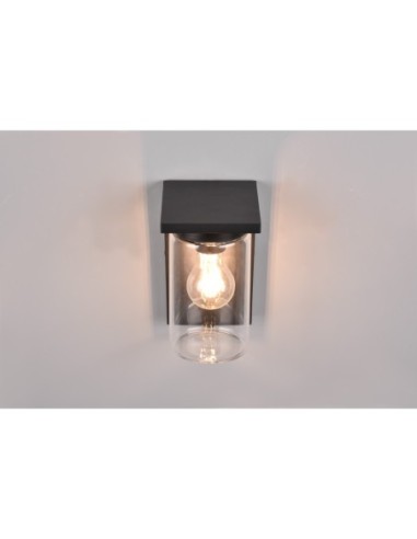 Applique murale extérieur IP44 1xE27 max 40W noire mat extérieur | Trio