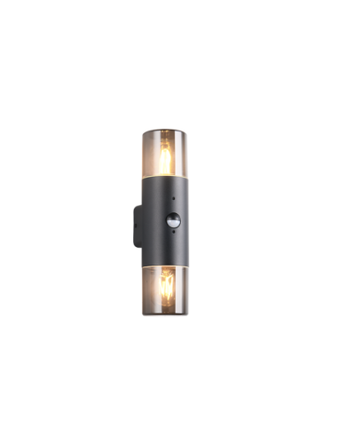 Trio Hoosic – Applique murale 2x E27, détection mouvement, IP44, aluminium noir mat et plastique fumé