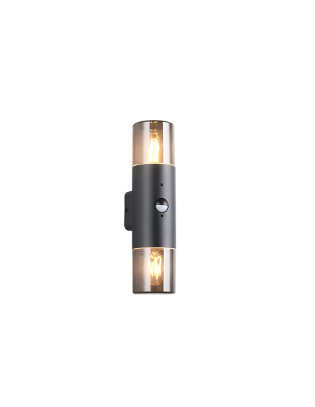 Trio Hoosic – Applique murale 2x E27, détection mouvement, IP44, aluminium noir mat et plastique fumé