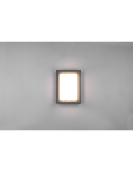 Trio Witham – Lampe murale extérieure LED, 3 températures de couleur, 10,5W, IP54