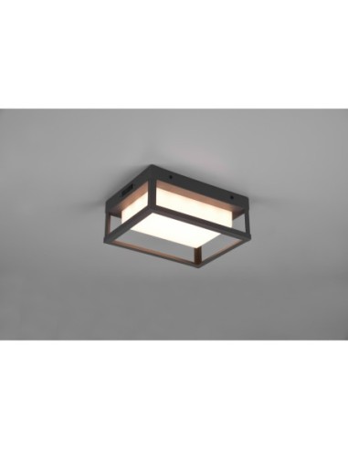 Applique extérieure, 2300/3000/4000K, anthracite, IP54 - Trio - Witham