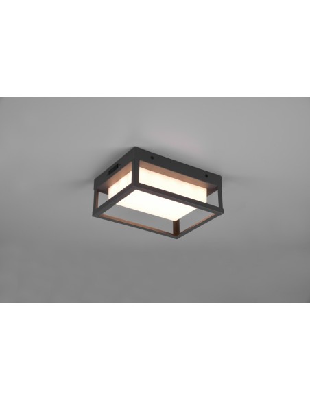 Applique extérieure, 2300/3000/4000K, anthracite, IP54 - Trio - Witham