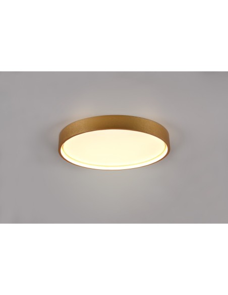 Trio – Doha – Plafonnier LED avec lumière réglable et anneau lumineux, laiton mat