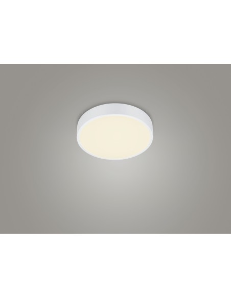 Trio Waco – Plafonnier moderne LED 28W, lumière réglable (2300K/3000K/4000K), blanc mat