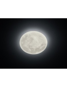 Trio Lunar – Plafonnier LED 22W, 2460lm, 3000K, télécommande, variateur et veilleuse 2