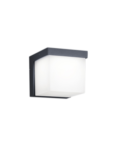 Trio Yangtze – Applique murale extérieure anthracite, LED intégrée 4,5W, 400lm, IP54
