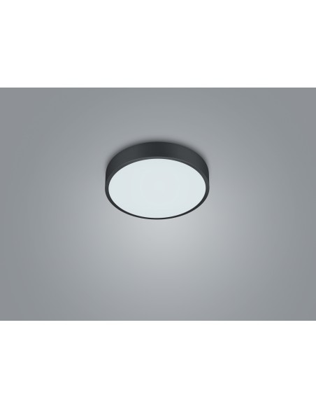 Plafonnier/applique, 3200lm, Réglable 2300-4000K, Noir – Trio - Waco