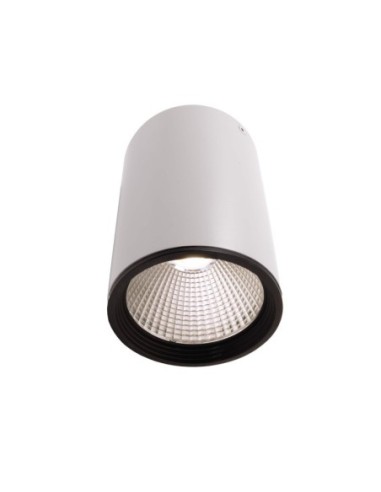 Plafonnier Led haute puissance Luna 20 blanc 4000K- Deko Light Leluminaireled.com