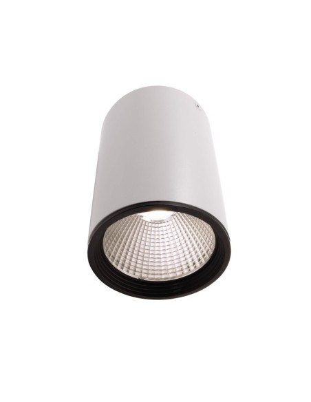 Plafonnier Led haute puissance Luna 20 blanc 4000K- Deko Light Leluminaireled.com