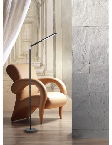 TRIO Filigran - Élégant lampadaire à LED 6,5W avec finition noire mate et design filigrane