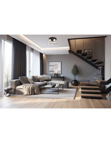 Plafonnier 5xE14, max. 10W, Verre Fumé, Corps Métal Noir Mat – Trio Select - Barret