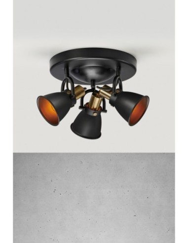 Luminaire élégant et fonctionnel, idéal pour halls et pièces sèches, design moderne.