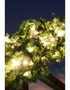 Guirlande LED E10, 100 lumières, 9,2W, IP44, vert et blanc chaud – Markslöjd – Chrissline Garland Spruce Rice Original 2