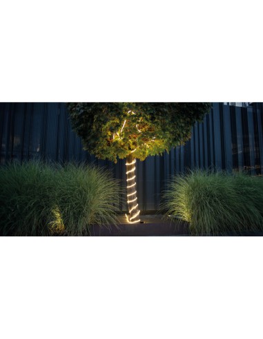 Kanlux - Givro - guirlande électrique étanche éclairage blanc chaud - 1650 lumens