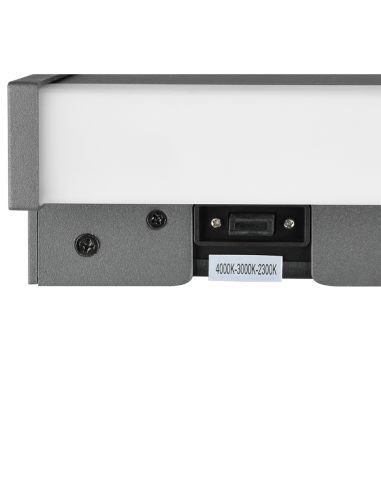 Trio Dawson – Applique extérieure étanche avec lumière réglable 2300-4000K, 1300 lm