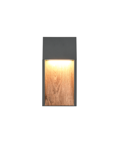 TRIO Salmon – Applique extérieure LED 11W, lumière chaude 3000K, corps en fonte d’aluminium, IP44