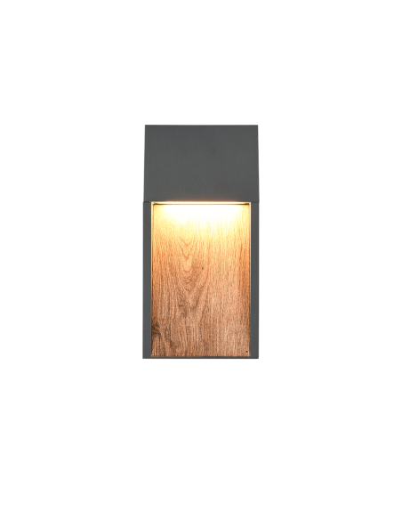 TRIO Salmon – Applique extérieure LED 11W, lumière chaude 3000K, corps en fonte d’aluminium, IP44