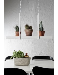 Markslöjd Tray – Suspension LED décoratif 3x1W, blanc, plateau personnalisable, lumière chaude 3000K, IP20 2